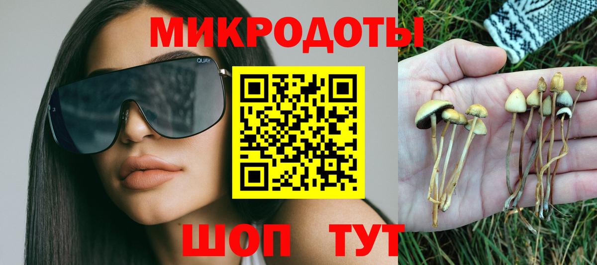 Псилоцибиновые грибы GOLDEN TEACHER Астрахань